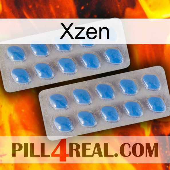 Xzen 23.jpg